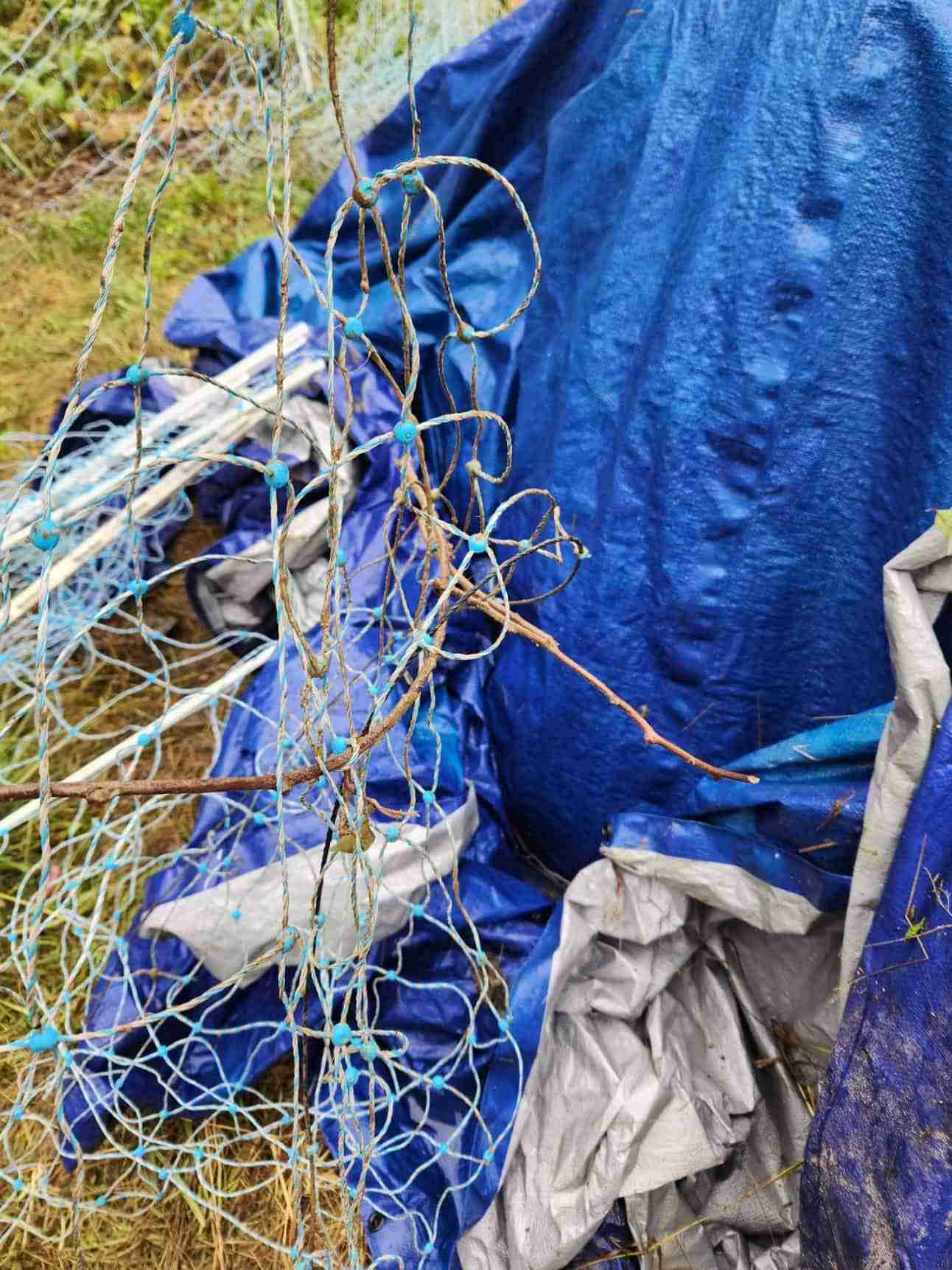 Electric netting fence for goats tangled around some sticks and fence post in front of blue tarp.