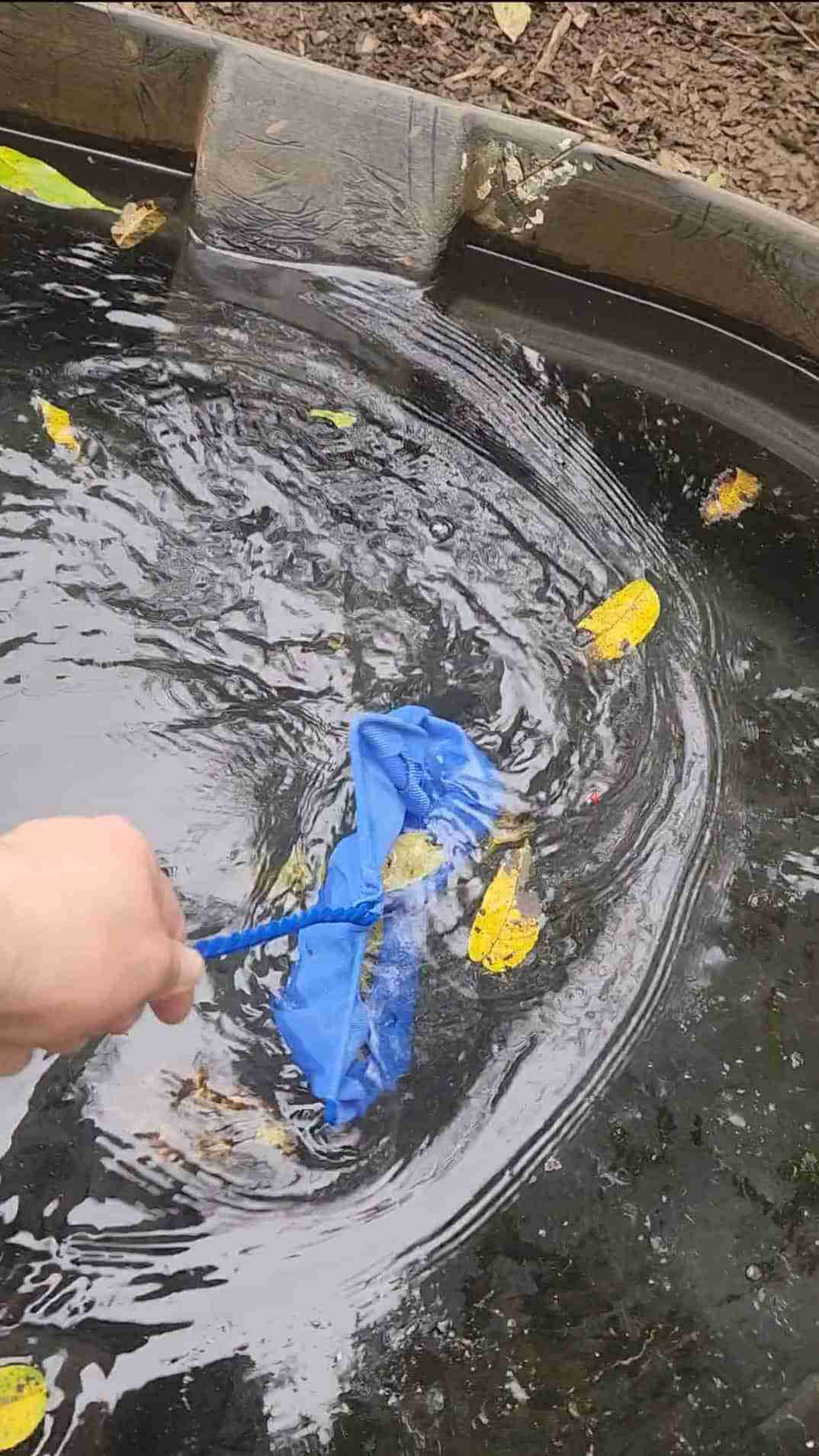 How to Clean Water Troughs and Make a Scrubby