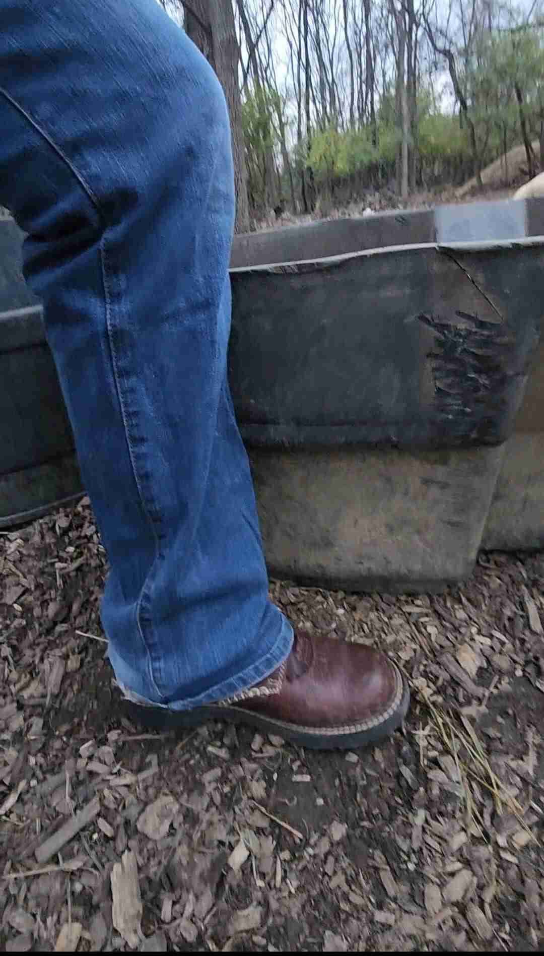 How to Choose Nigerian Dwarf Goat Water Trough