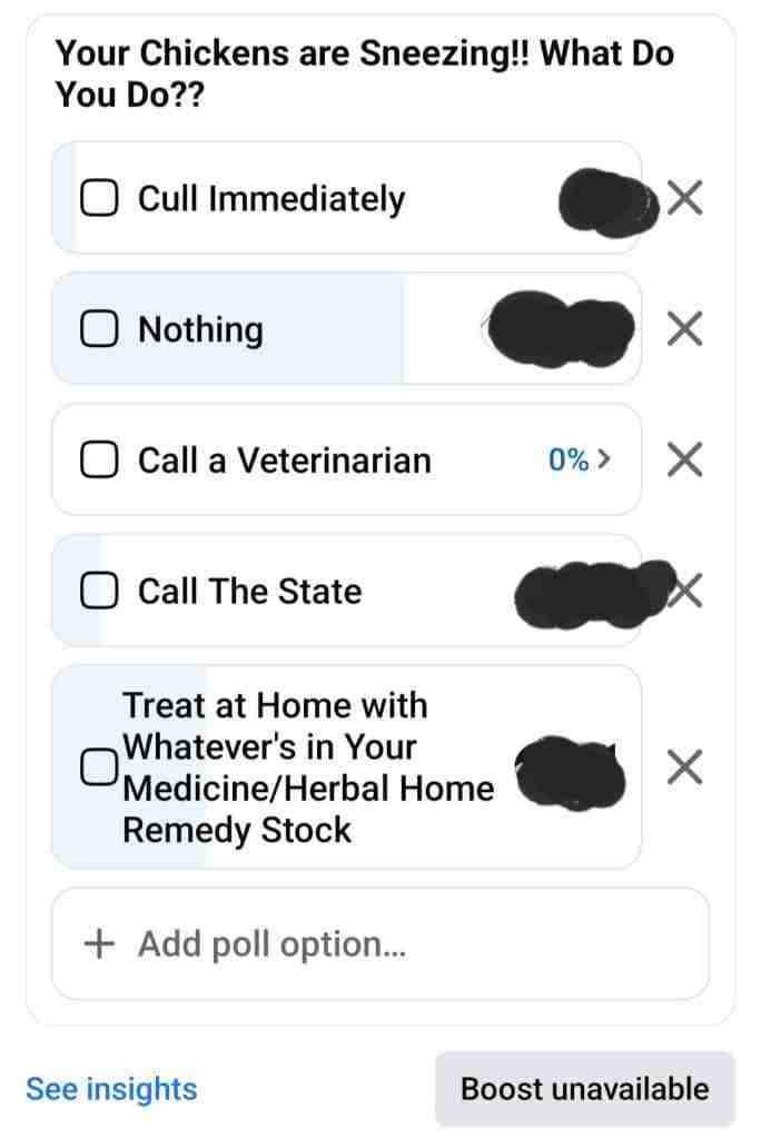 Screenshot of a poll I conducted on Facebook. Name of poll: Your Chickens are Sneezing!! What Do You Do?? Option 1: Cull Immediately (1 vote) Option 2: Nothing (14 votes) Option 3: Call a Veterinarian (0 votes) Option 4: Call The State (2 votes) Option 5: Treat at Home with Whatever's in Your Medicine/Herbal Home Remedy Stock (6 votes)