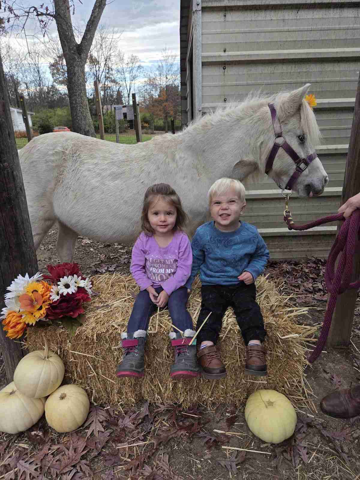 Two kids sitting on a bale of straw with white pumpkins and fall flowers with a grey pony with purple halter behind them