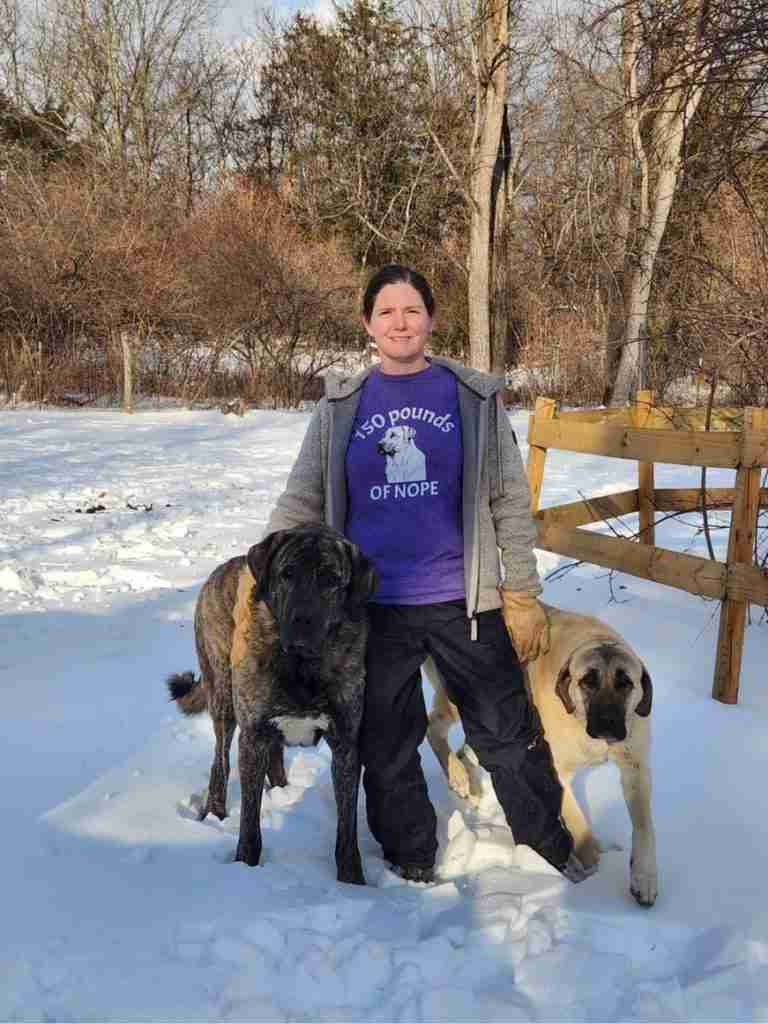 Woman standing in the snow wearing a purple shirt with an antolian shepherd head on it with the words "150 pounds of Nope". One black brindle anatolian shepherd and one fawn anatolian shepherd next to her.
